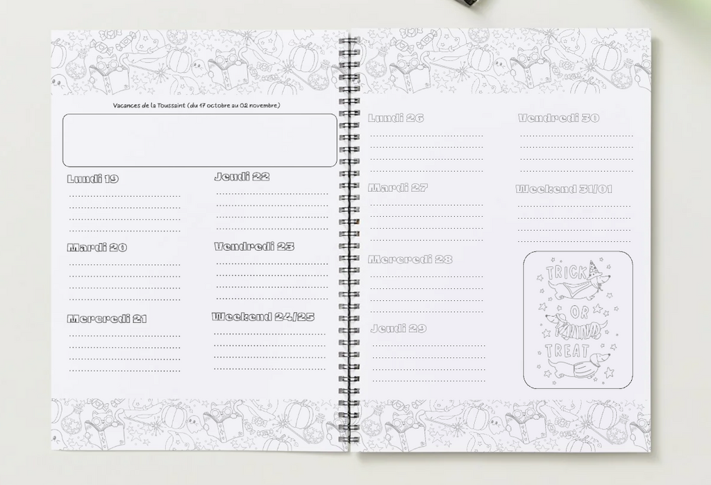 Agenda enseignant 2026-2027 - Disco Vibes - Format spirale