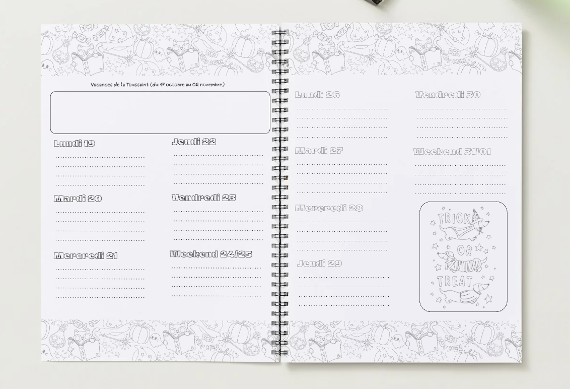 Agenda enseignant 2026-2027 - Disco Vibes - Format spirale