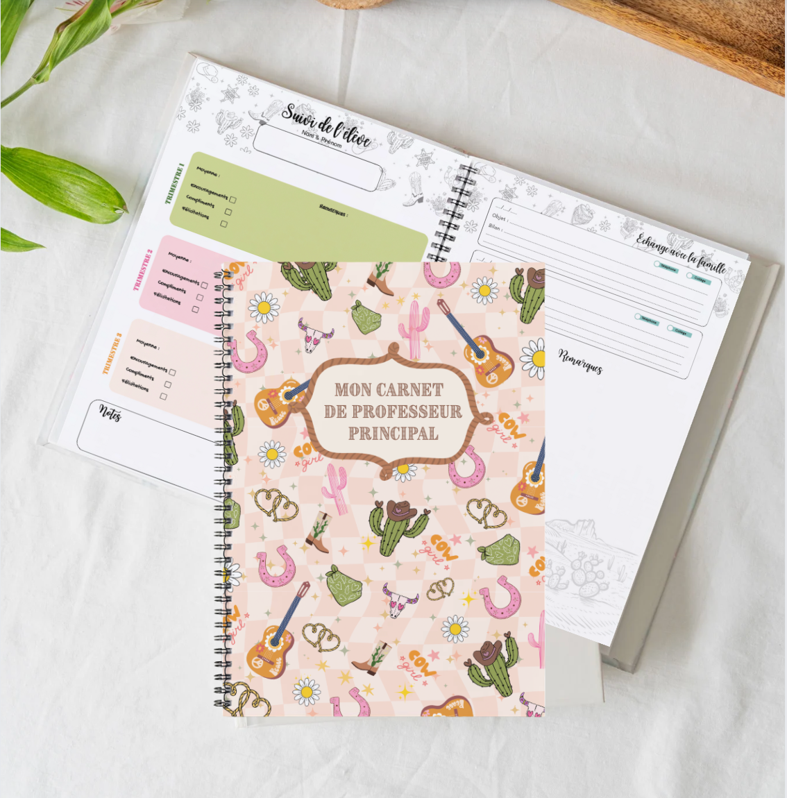 Carnet de bord professeur principal - Spirale