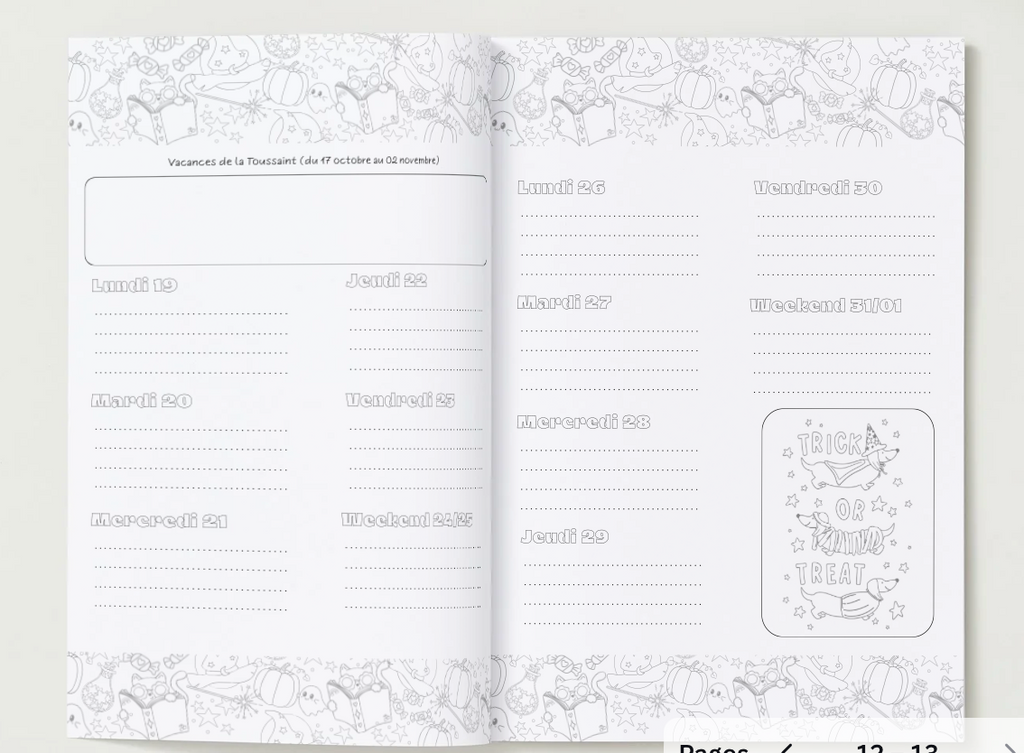 Agenda enseignant 2026/2027 - "Girly Farwest"- Reliure à plat